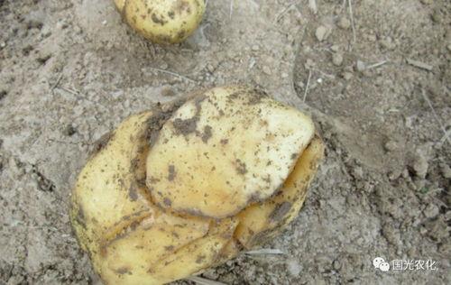 裂缝在线观看土豆,土豆独家首播,揭秘神秘裂痕背后的真相 第2张 裂缝在线观看土豆,土豆独家首播,揭秘神秘裂痕背后的真相 第2张